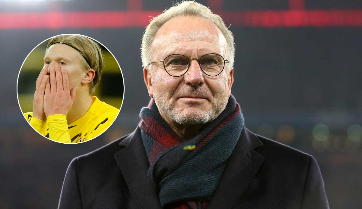 意味着伤势 意味着伤势